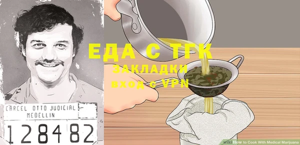 индика Инта
