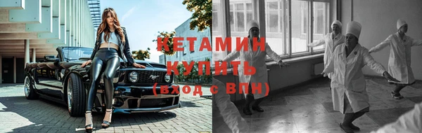 индика Инта