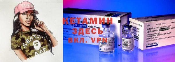 индика Инта