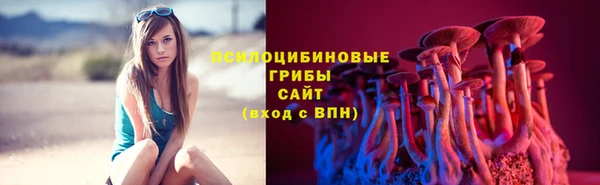 спайс Инсар