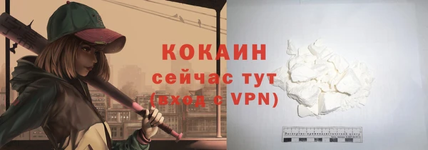 спайс Инсар