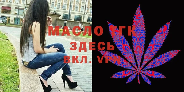 индика Инта