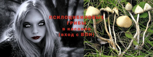 эйфоретик Болхов