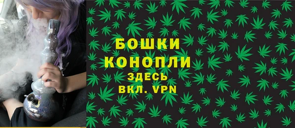 экстази Каменка