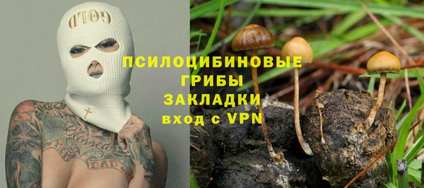 экстази Каменногорск