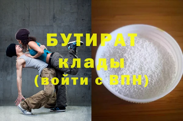 индика Инта