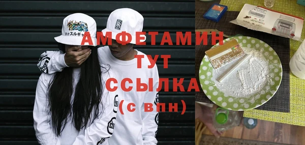 индика Инта