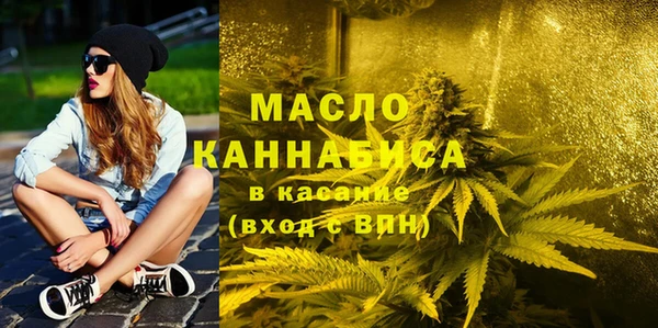 дмт Болотное