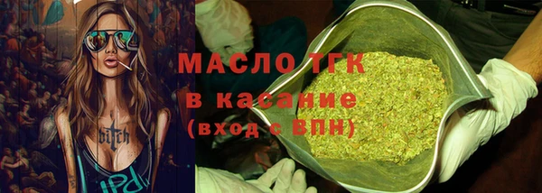 индика Инта