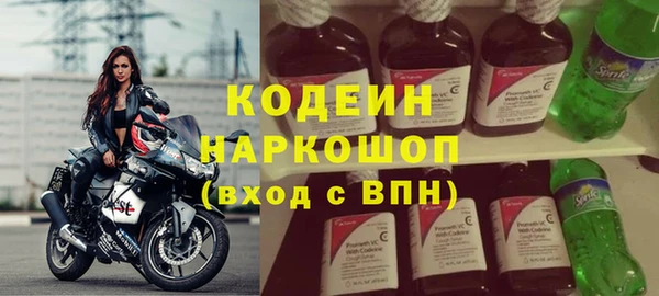 индика Инта