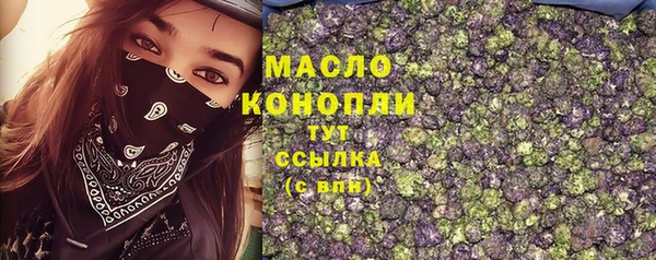 индика Инта