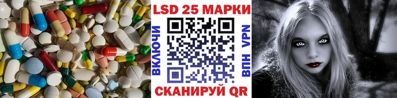 где найти наркотики  Кедровый  Лсд 25 экстази кислота 