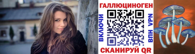 сколько стоит Кедровый Галлюциногенные грибы мицелий